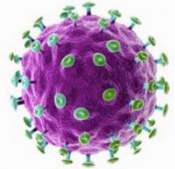 Вирус папилломы человека (ВПЧ)